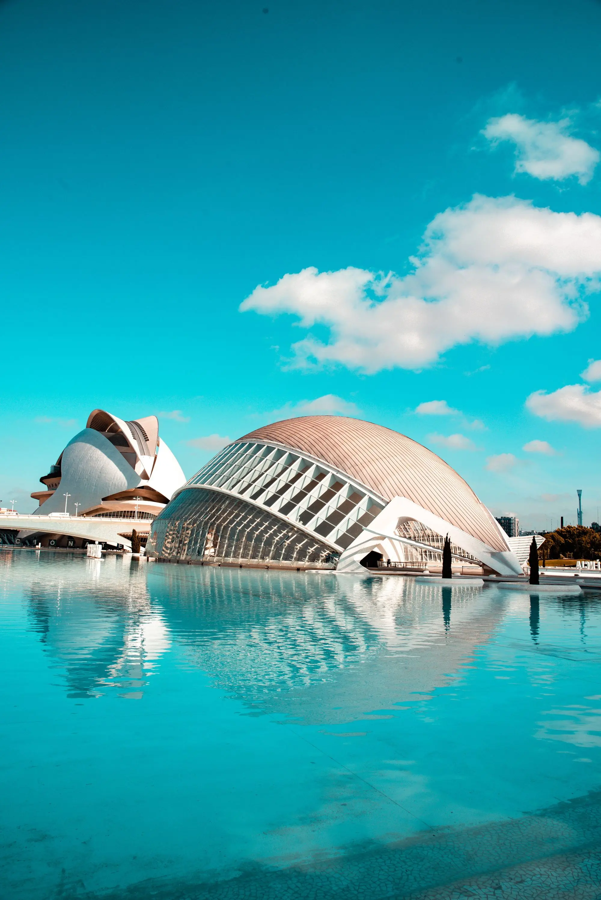 Dome building near body of water in Valencia