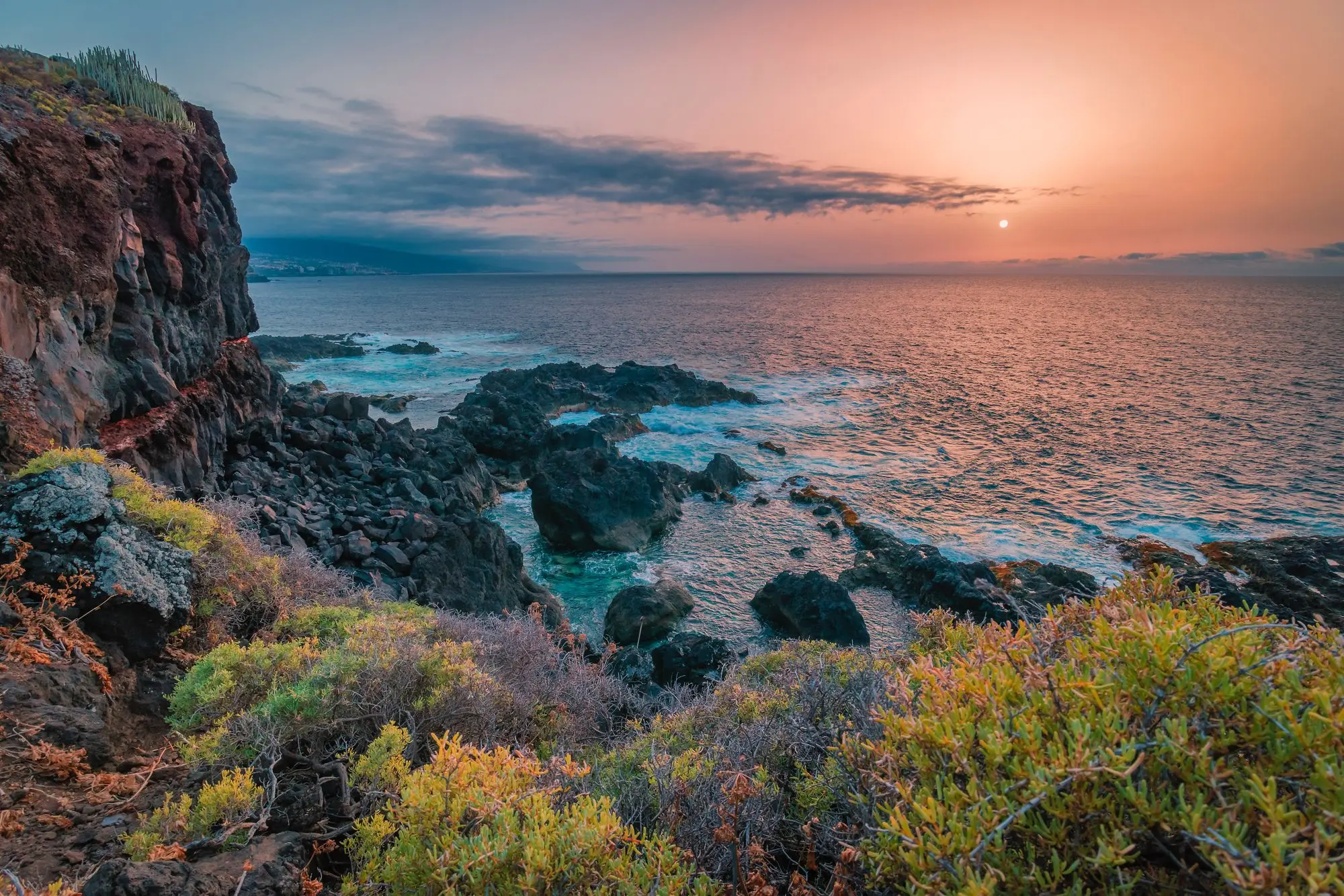 Rock formations and shrubs beside sea in Tenerife