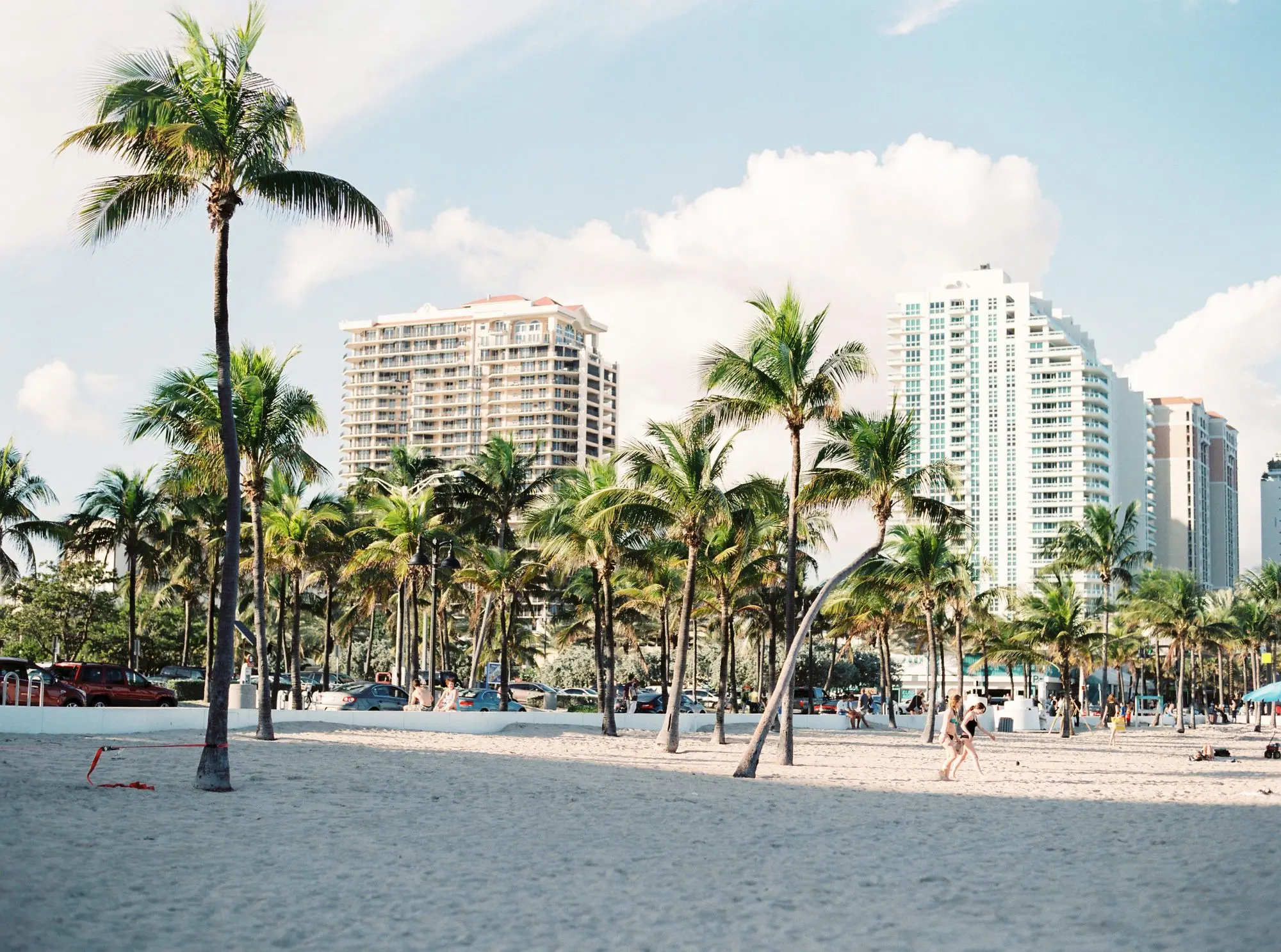 palm trees near buildings in Miami